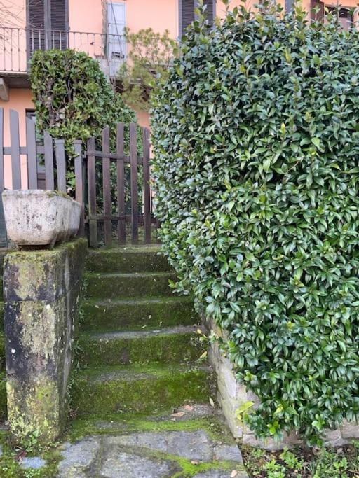 Villa Giardino Con Pontile Sul Lago D'Orta In Riva Orta San Giulio Buitenkant foto